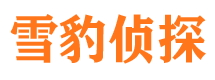 隆安外遇出轨调查取证